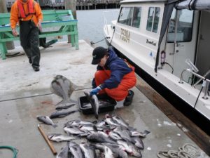 37 e1460668598171 640x480 c