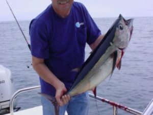 50 e1460667895970 320x240 c