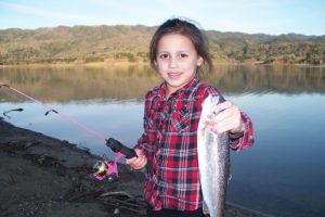 3 12 062 e1460663186995