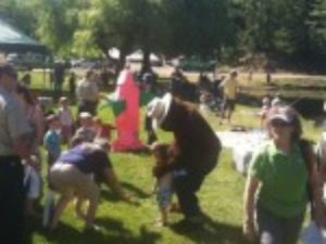 img 3243 150x150 320x240 c