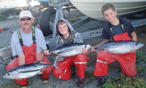 wharf rat 2 e1460664726854