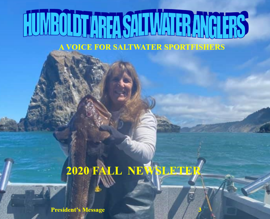 screenshothasa fall 2020 newsletter final.pdf