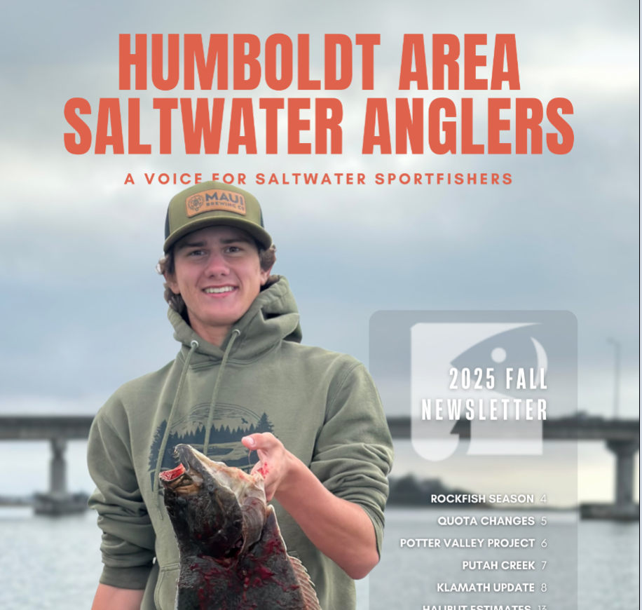 screenshothasa fall 2025 newsletter