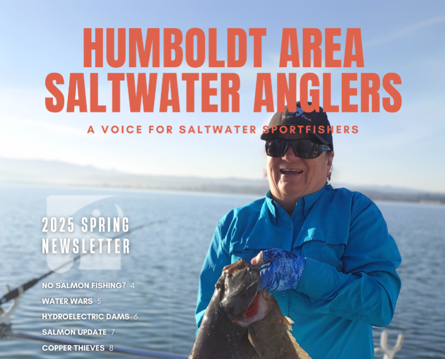 screenshothasa spring 2025 newsletter