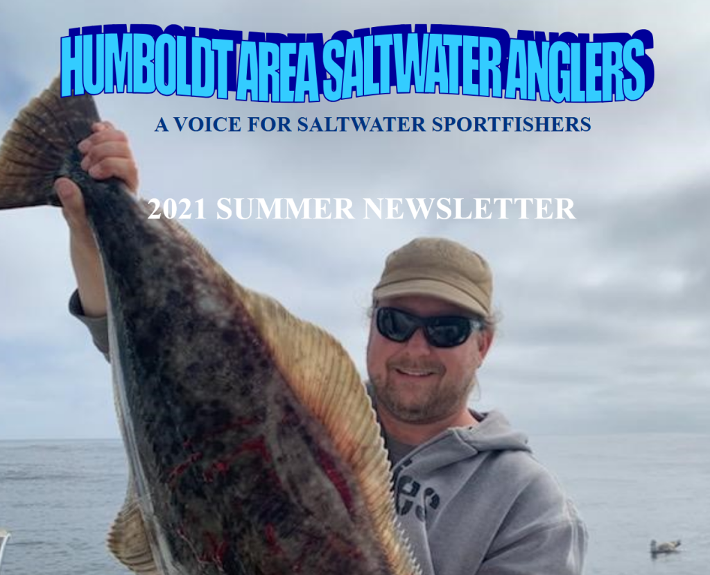 screenshothasa summer 2021 newsletter.pdf