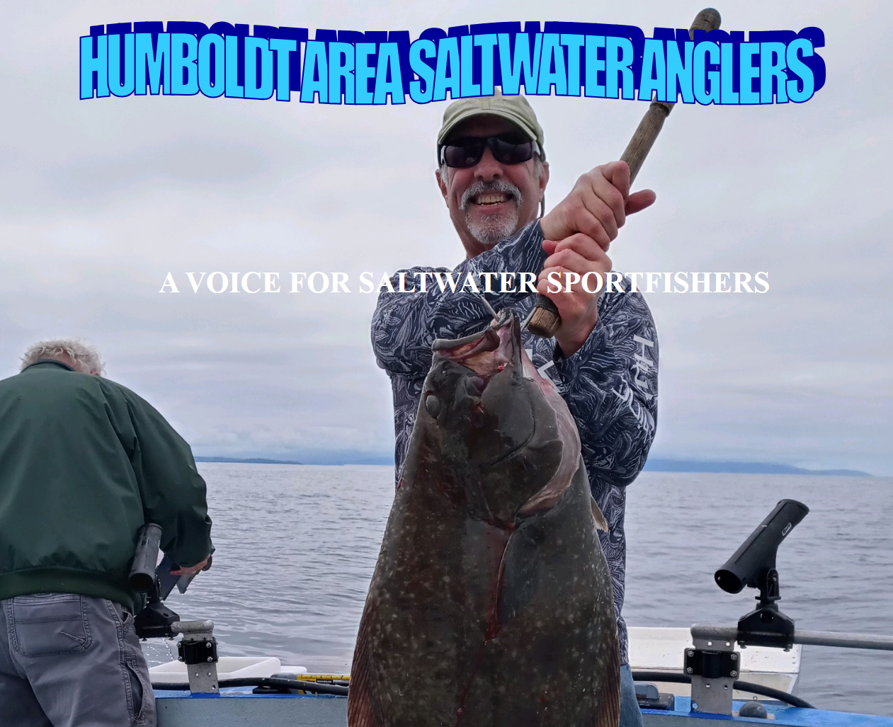 screenshothasa summer 2022 newsletter.pdf