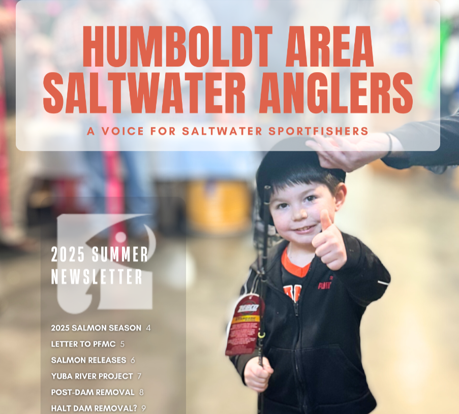 screenshothasa summer 2025 newsletter